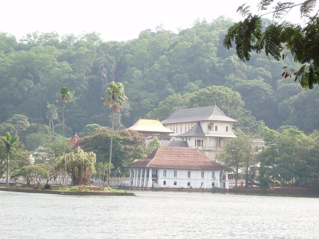 Strathisla Tea Estate Bungalow Matale Eksteriør bilde