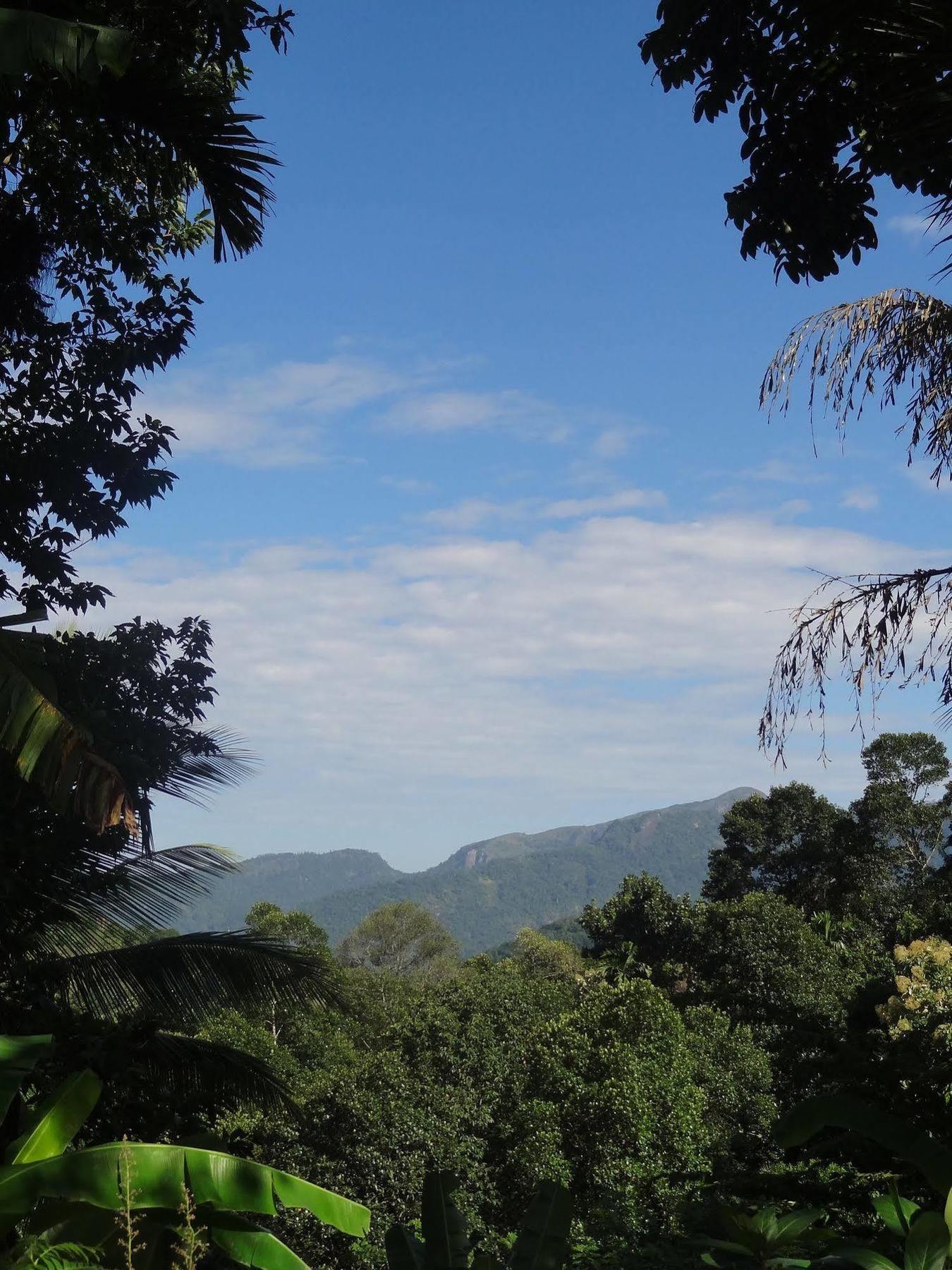 Strathisla Tea Estate Bungalow Matale Eksteriør bilde