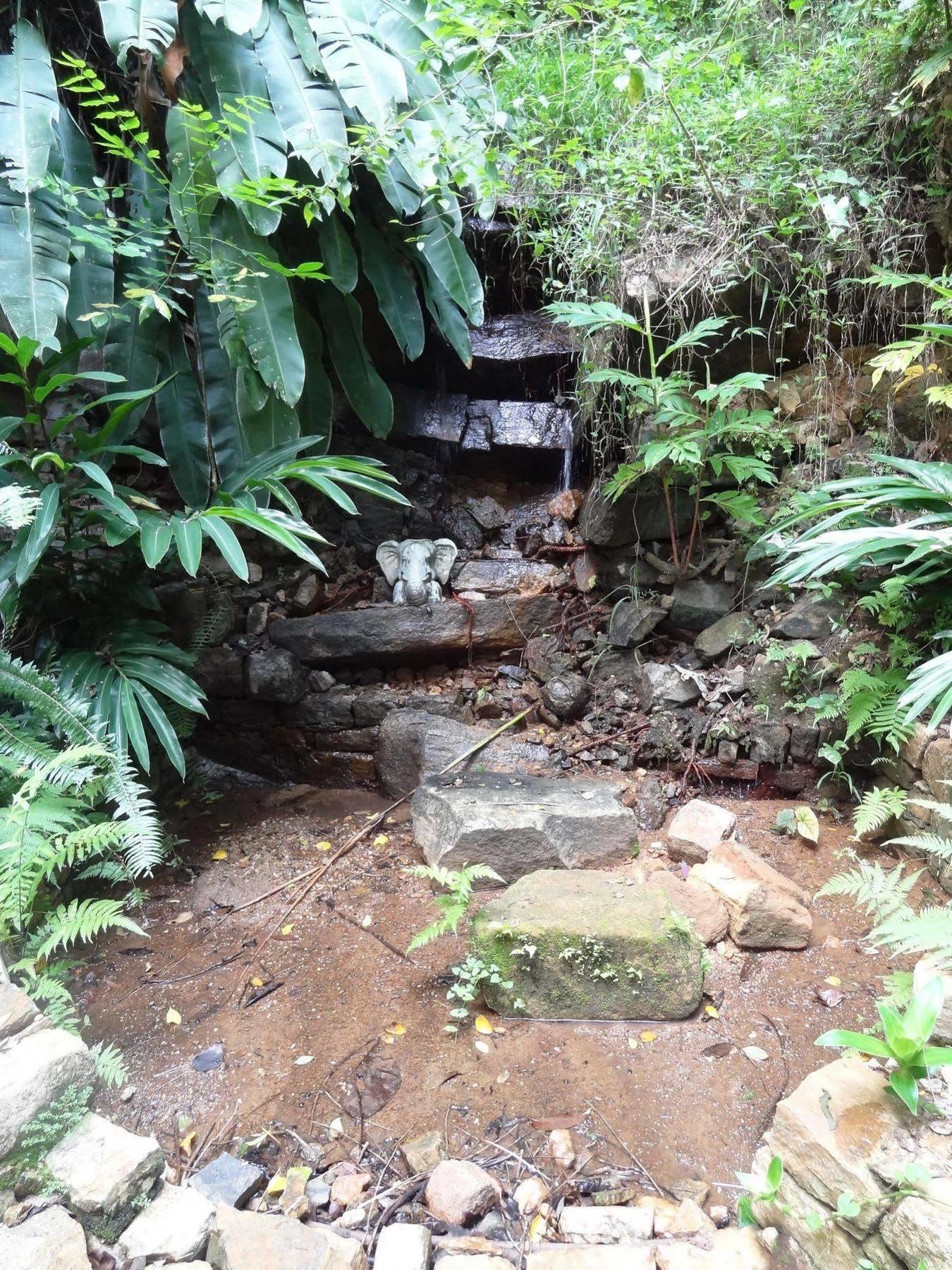 Strathisla Tea Estate Bungalow Matale Eksteriør bilde