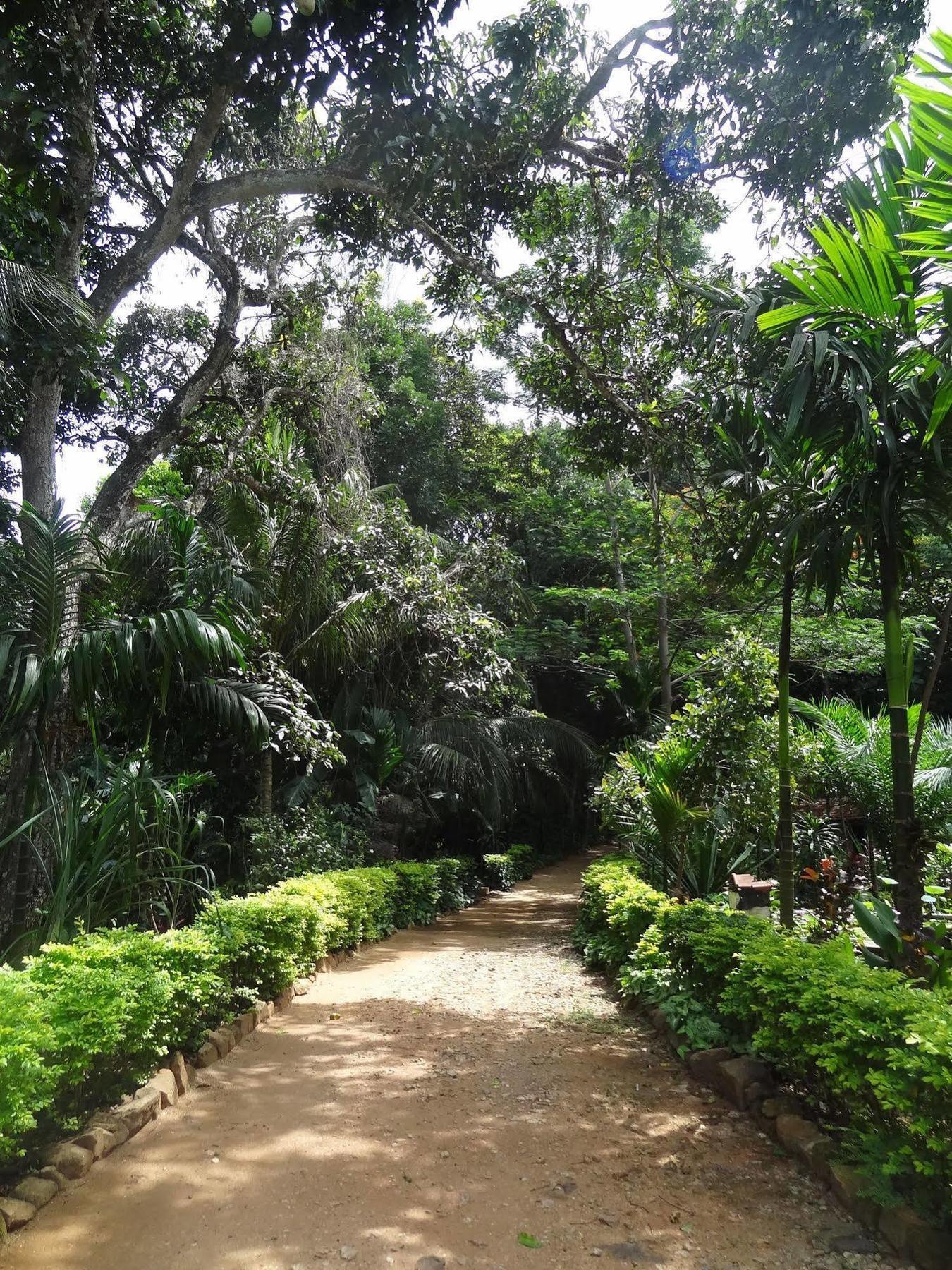 Strathisla Tea Estate Bungalow Matale Eksteriør bilde