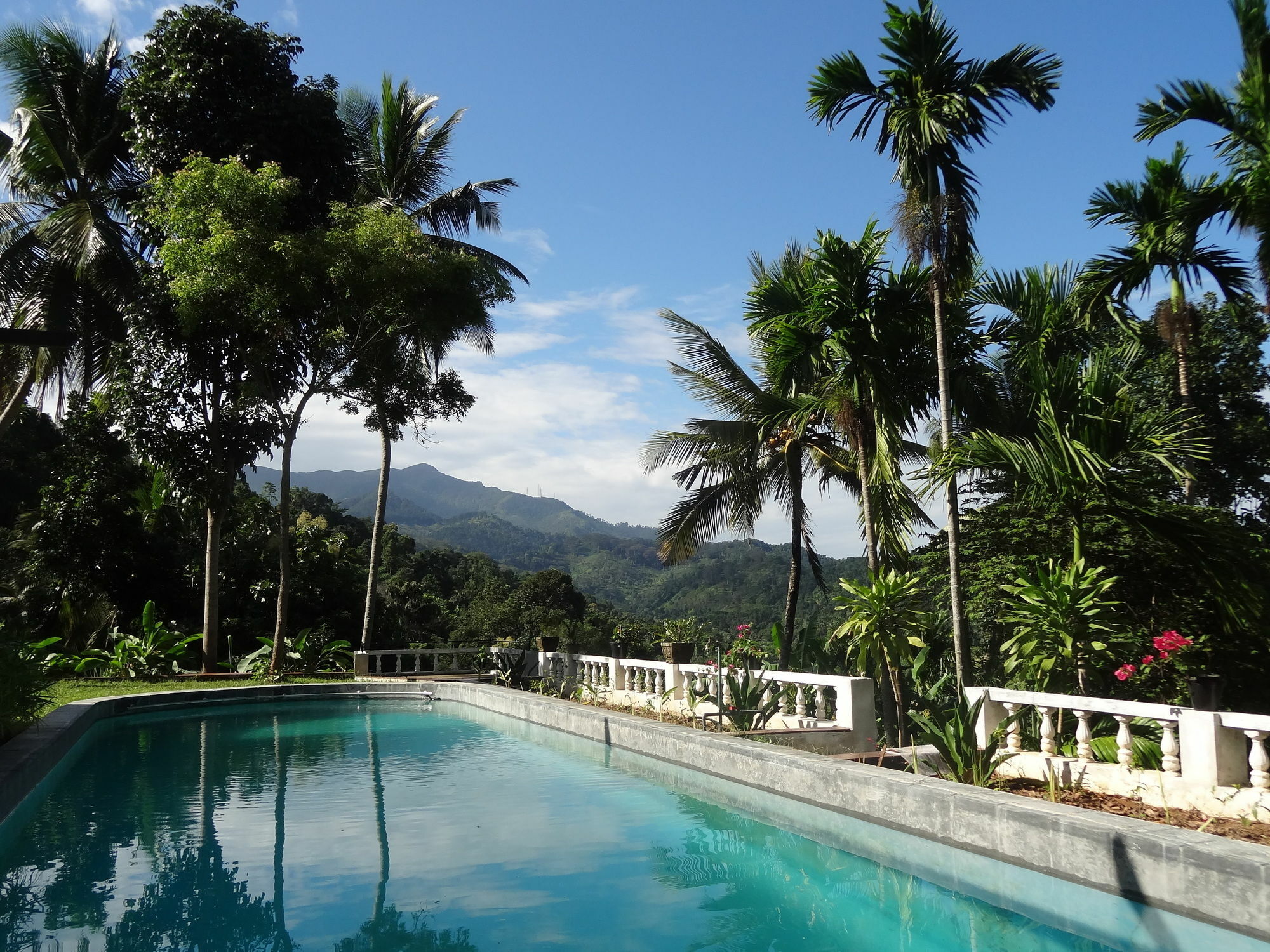 Strathisla Tea Estate Bungalow Matale Eksteriør bilde