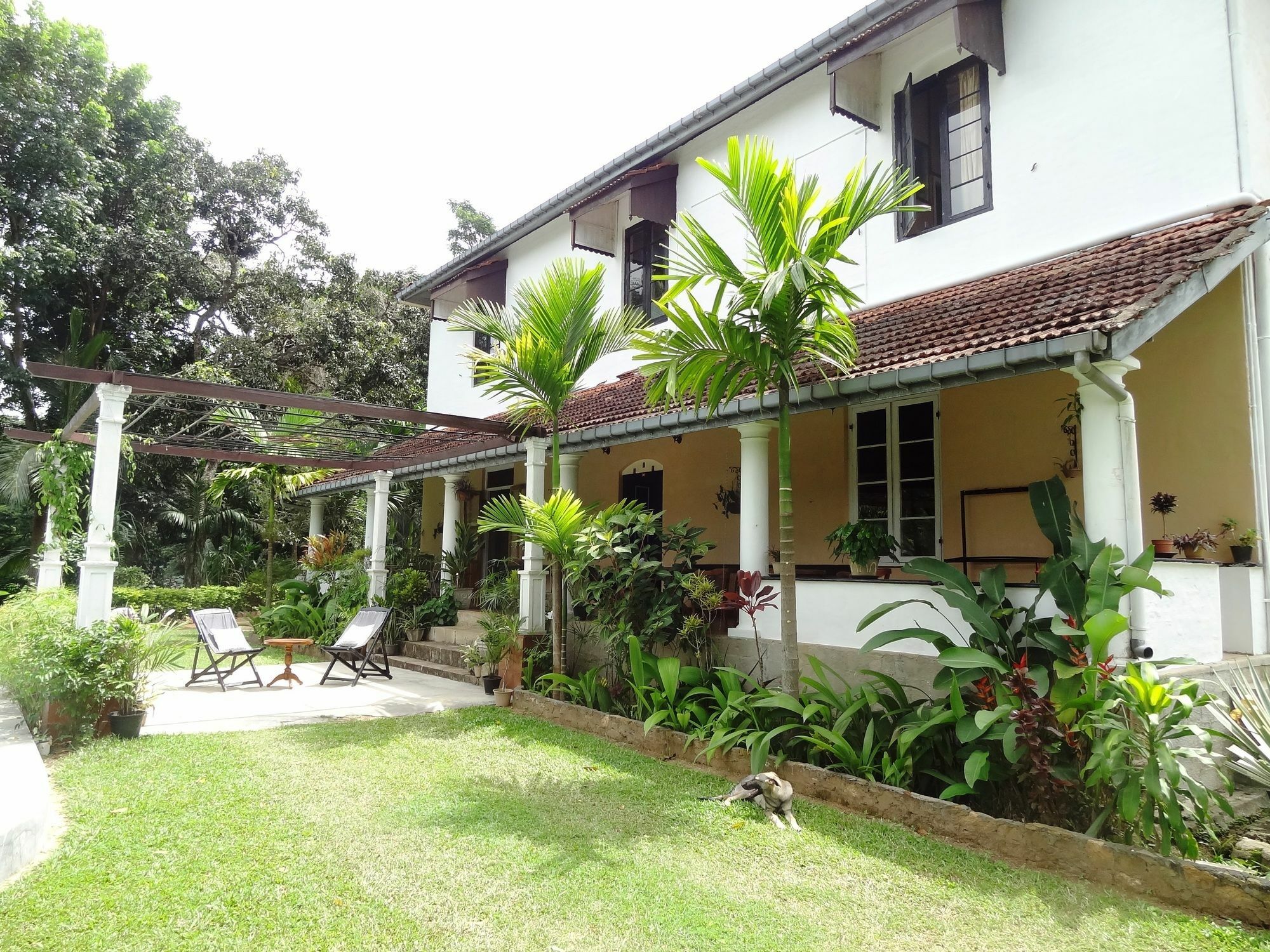 Strathisla Tea Estate Bungalow Matale Eksteriør bilde